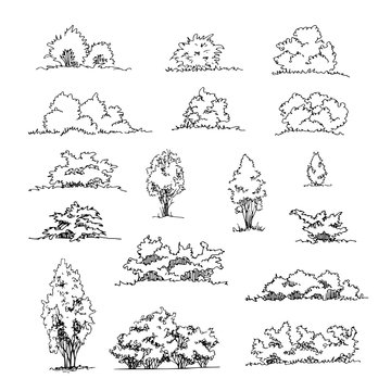 Set of hand drawn architect shrubs, vector sketch, architectural illustration
