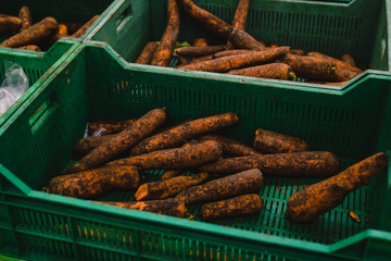 Old unattractive carrots in the supermarket. In a plastic blue box. View from above.