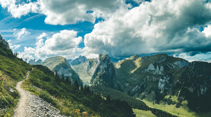 Obraz premium path
