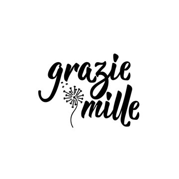 Grazie mille - Thanks so much in Italian. Modern brush calligraphy. Vector illustration.