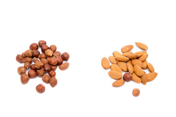 Hazelnuts, almond isolated on white background. Nuts. Hazelnut and almond