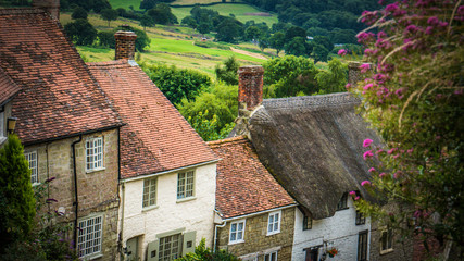 Fototapeta na wymiar Old English limestone houses with thatched roofs with green fields countryside in the background. Gold Hill houses on a cloudy day behind flowers in Shaftesbury, Dorset, UK. Photo with selective focus