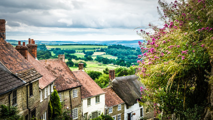 Fototapeta na wymiar Old English limestone houses with thatched roofs with green fields countryside in the background. Gold Hill houses on a cloudy day behind flowers in Shaftesbury, Dorset, UK. Photo with selective focus