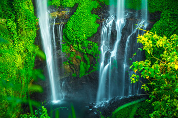 Tropical Sekumpul Waterfalls in Bali island, Indonesia