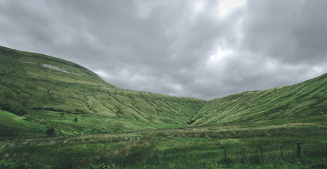 Fototapeta premium grassland