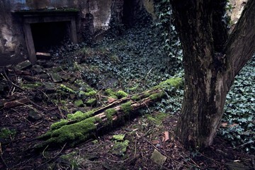 Panorami invernali della campagna lombarda