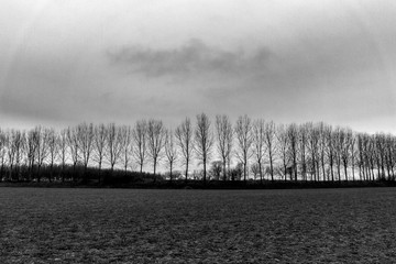 Panorami invernali della campagna lombarda