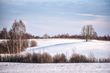 winter landscape. Cloudy day. Winter decline. The muffled colors.