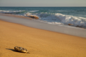 Canos de Meca  -  Trafalgar Beach