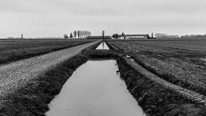 Panorami invernali della campagna lombarda
