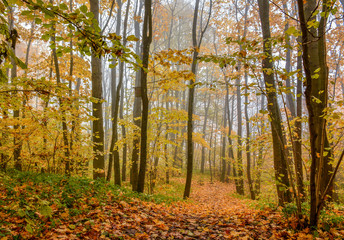 Upland Park is a landscape Park occupying the Orekhovaya mountain (174.2 m) at the Duderhof heights in Krasnoselsky district of St. Petersburg.