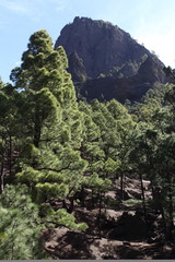 Vulkan La Palma Bergmassiv