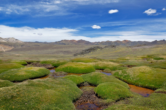 Dry Andean lagoon product of climate change