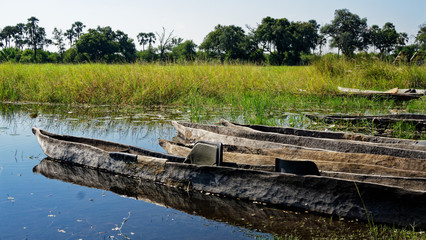 Makoro dugout canoes, Okavango Delta, Botswana.