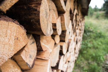 Feuerholzlager / Holzscheite 