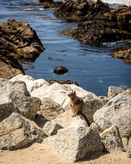 Monterey, California