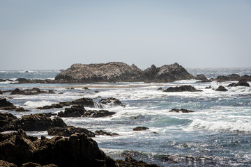 Fototapeta premium Monterey, California