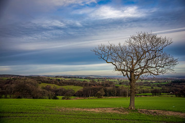 Fototapeta na wymiar Yorkshire Countryside