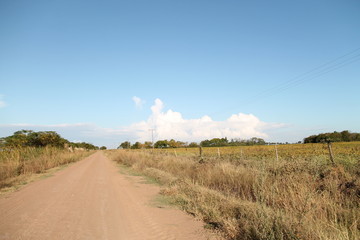 Caminno