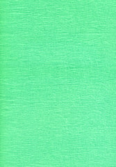 Scan of green fringe.