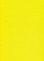 Scan of yellow fringe.