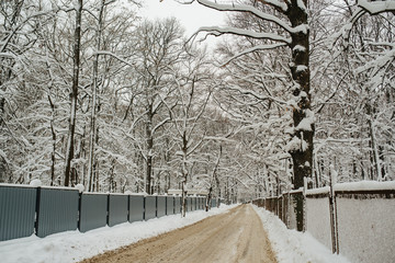 The border of country marking road and fence of land in winter. Refugee and migrant. Winter snow on...