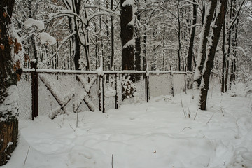 The border of country marking road and fence of land in winter. Refugee and migrant. Winter snow on trees.