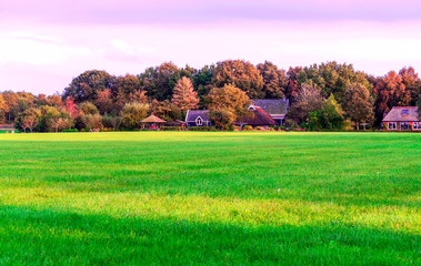 Trees in the fields of Holland on a cloudy day