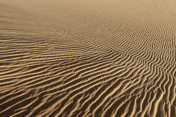 Fototapeta na wymiar Abstract desert sand pattern shaped by low sunlight and wind formed ripples