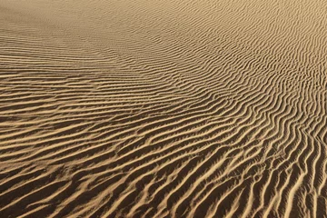 Foto op Plexiglas Abstract desert sand pattern shaped by low sunlight and wind formed ripples © Sebastian