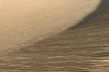 Abstract desert sand pattern shaped by low sunlight and wind formed ripples