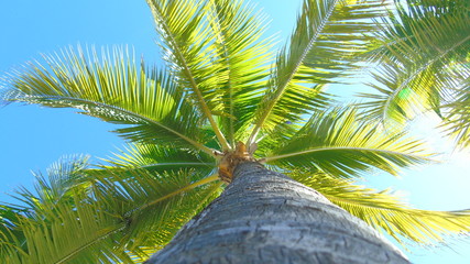 From another angle