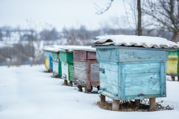 Group beehives in the winter garden with snow covering.