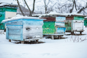Naklejka premium Group beehives in the winter garden with snow covering.