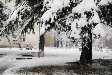 Childrens Playground Covered Snow