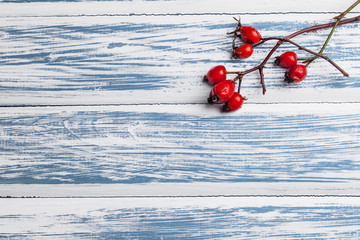 Dogrose with leafs over Wooden Background