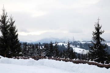 Obraz premium Winter Carpathian landscape in Yaremche 