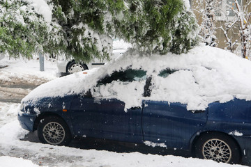parked cars covered with snow