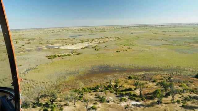 Wildlife aerial Okavango Delta Botswana Africa
