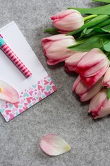 Valentines day wallpaper with notepad Pen and fresh tulips top view
