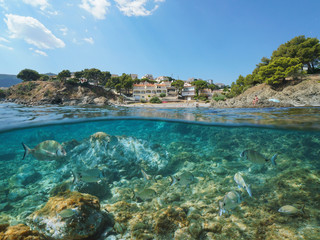 Fototapeta na wymiar Spain coastline with sea breams fish underwater, les Tonyines beach in Llanca on the Costa Brava, split view half over and under water, Mediterranean sea, Catalonia