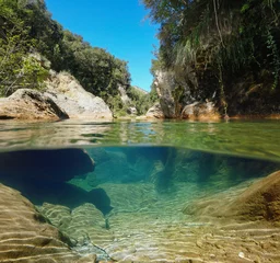 Zelfklevend Fotobehang Wild river over and under water surface with rocks and vegetation, La Muga, Catalonia, Spain © dam