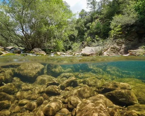 Zelfklevend Fotobehang Wilde rivier met rotsen en vissen onder water, gespleten weergave half boven en onder het wateroppervlak, La Muga, Girona, Alt Emporda, Catalonië, Spanje © dam