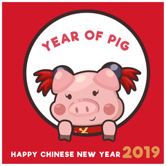 Chinese New Year. The year of the pig.