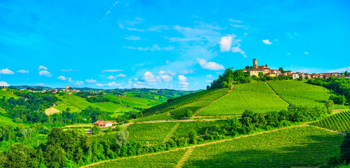 Fototapeta na wymiar Langhe vineyards view, Castiglione Falletto and Serralunga d Alba, Piedmont, Italy Europe.