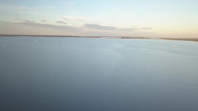Kraniche in Mecklenburg Vorpommern
