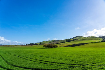 Panorama of Pasture and hills