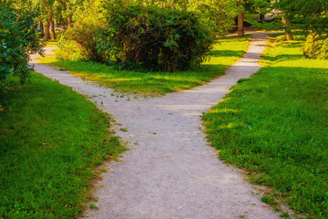 Fototapeta na wymiar A wide walking trail splits into two narrow paths in the park.