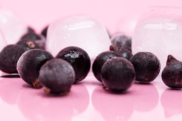 Frozen blackcurrant berries and ice cubes on pink background. With reflection.