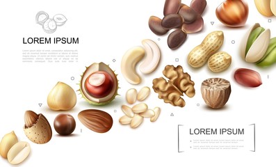 Realistic Organic Nuts Collection